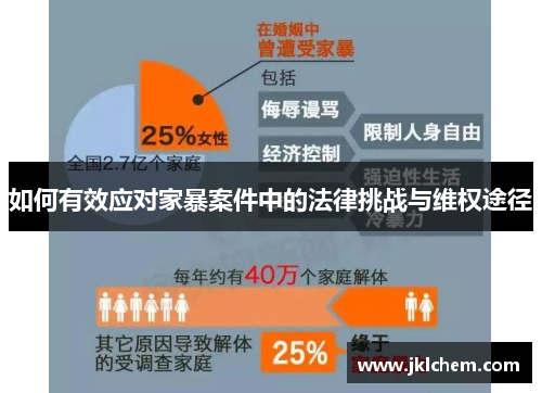 如何有效应对家暴案件中的法律挑战与维权途径